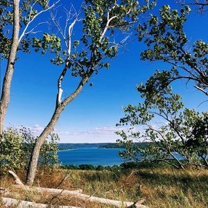 Meet your Posher, Cora